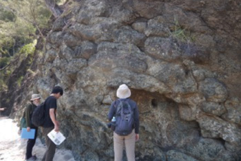 小笠原諸島の石の写真