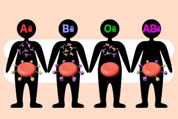 血液型のイメージ図