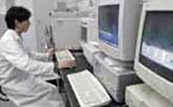 パソコンを操作する研究者の写真