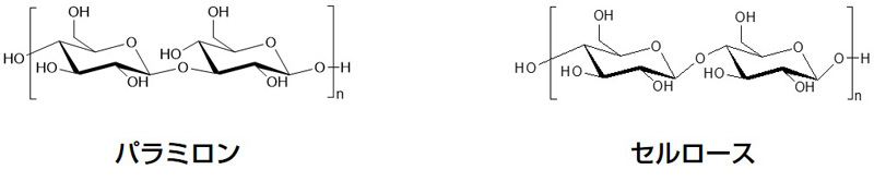 産総研サイエンスタウン ミドリムシ 七変化 へんげ