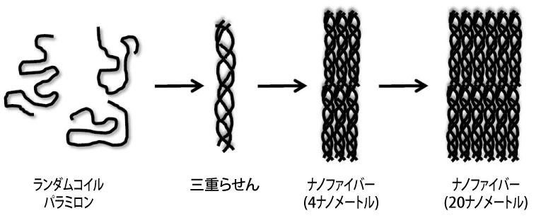 産総研サイエンスタウン ミドリムシ 七変化 へんげ 産総研サイエンスタウン ミドリムシ 七変化 へんげ