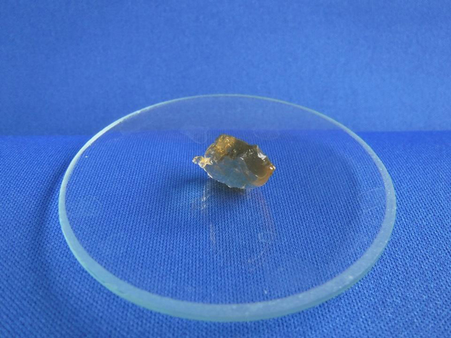 ミドリムシページ ミドリムシ - Wikipedia