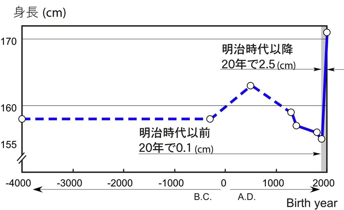 日本人の成人の平均身長変化のグラフ