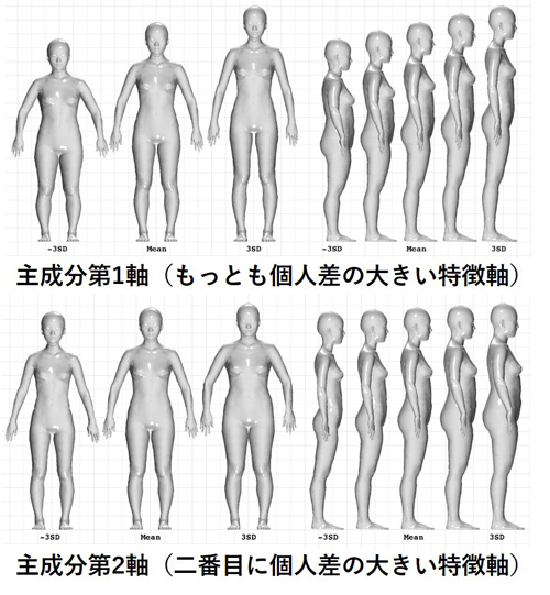 主成分分析の結果のイラスト