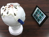 展示中のマネキン装着のニューロコミュニケータヘッドギアとデモ装置の画像